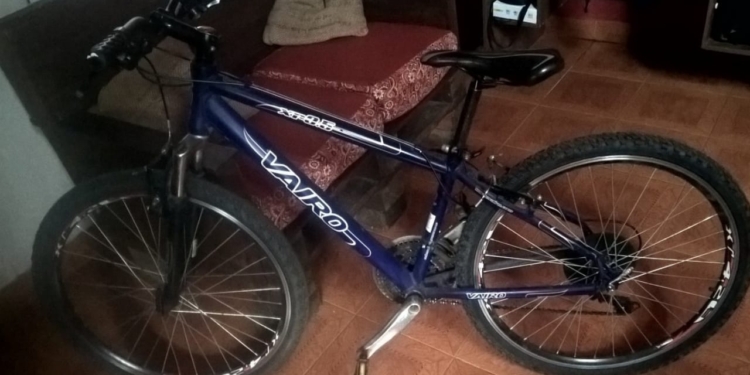 Le robaron la bici a un nene en Andino y piden ayuda para recuperarla