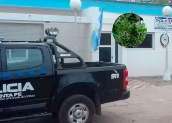 San Genaro: encontraron plantas de marihuana en una casa en medio de una requisa