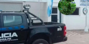 San Genaro: encontraron plantas de marihuana en una casa en medio de una requisa