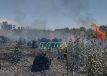 Timbúes: imponente incendio de pastizales consumió cerca de 9 hectáreas