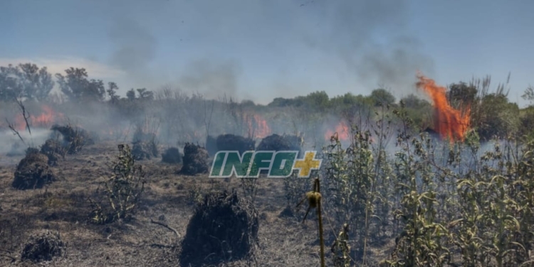 Timbúes: imponente incendio de pastizales consumió cerca de 9 hectáreas
