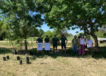 La comuna de Monje plantó 100 árboles nativos en La Boca