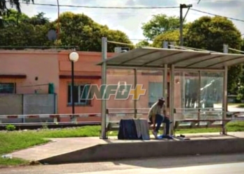 Robó un TV Led de 43» en Timbúes y huyó en colectivo