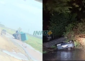 Temporal en la región con anegamientos, caída de árboles y cortes de luz