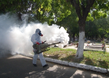 Anunciaron una jornada de fumigación contra los mosquitos en Gessler