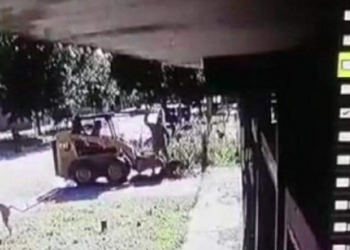 Indignación en la región: salvajes mataron a un perro en San Lorenzo