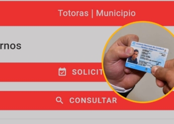 Los totorenses ya pueden sacar turno online para renovar la licencia de conducir