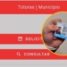 Los totorenses ya pueden sacar turno online para renovar la licencia de conducir