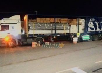 Gendarmería incautó en Salto Grande 15 toneladas de precursores químicos de drogas