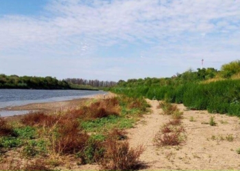 Miércoles de limpieza en la costa del Río Carcarañá en Gaboto