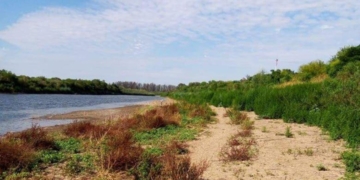 Miércoles de limpieza en la costa del Río Carcarañá en Gaboto