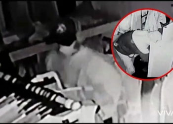 Quedaron grabados: rompieron la puerta y robaron en una tienda de Andino