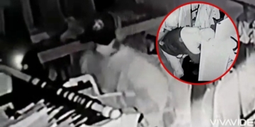 Quedaron grabados: rompieron la puerta y robaron en una tienda de Andino