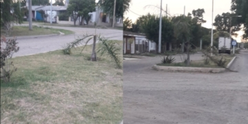 Destruyeron las palmeras ubicadas sobre Avenida Colón en Gaboto: «Da impotencia»