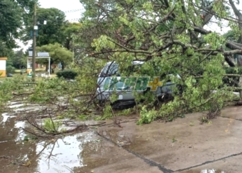 Datos de lluvia: las precipitaciones también se hicieron notar durante el temporal