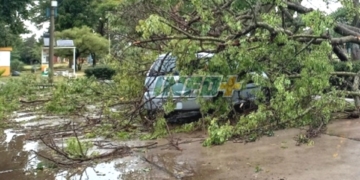 Datos de lluvia: las precipitaciones también se hicieron notar durante el temporal