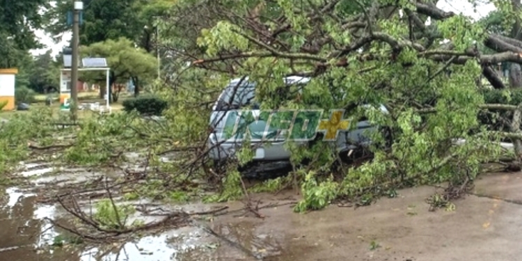Datos de lluvia: las precipitaciones también se hicieron notar durante el temporal