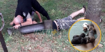 Maciel: rescataron a seis perritos abandonados que se ahogaban en una cuneta