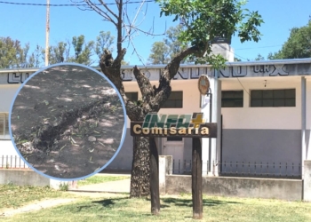 Andino: regresó a su casa y descubrió el robo de su moto, la TV y otros elementos