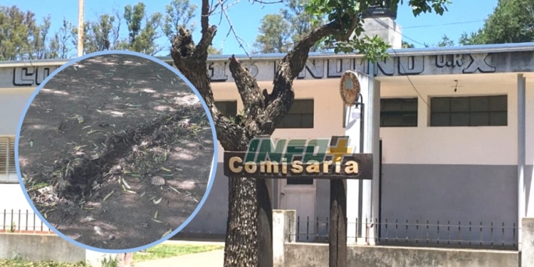 Andino: regresó a su casa y descubrió el robo de su moto, la TV y otros elementos
