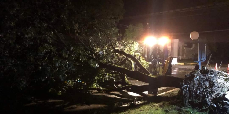“No fue un tornado”: especialistas aseguran que se trató de un “downburst”