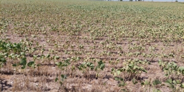 Perotti firmó el decreto que declara la emergencia agropecuaria en la provincia