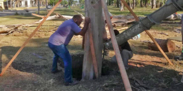 Andino comenzó con la construcción del «Aripucá», su nuevo centro cultural