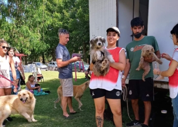 Totoras habilitó sacar turnos on line para las castraciones