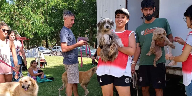 Totoras habilitó sacar turnos on line para las castraciones