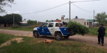 Allanamiento y secuestro de plantas de marihuana en Gaboto
