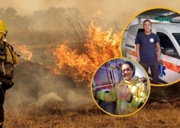La región envió a sus brigadistas para combatir los incendios en Corrientes y Misiones