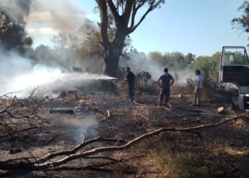 Un peligro: denunciaron dos incendios intencionales en Timbúes