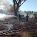 Un peligro: denunciaron dos incendios intencionales en Timbúes