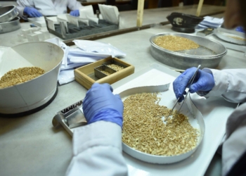 Timbúes anunció el inicio de cursos con salida laboral en empresas locales