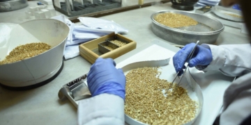 Timbúes anunció el inicio de cursos con salida laboral en empresas locales