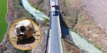 Misterio en Serodino: hallaron un cráneo humano en un arroyo