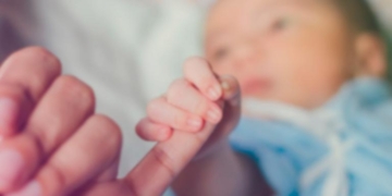 Buscan familias solidarias para cuidar temporalmente a más de 10 bebés