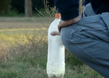 Vandalismo en Serodino: vecinos denuncian ataques con bombas caseras