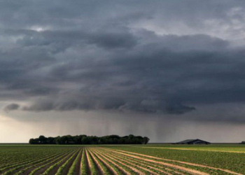 Toda la provincia de Santa Fe se encuentra bajo alerta por tormentas