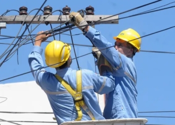 Andino: un perrito murió electrocutado al caer un cable de la EPE