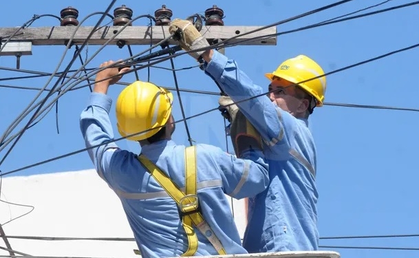 Andino: un perrito murió electrocutado al caer un cable de la EPE