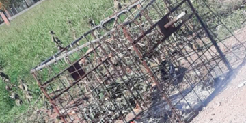 Vandalismo en Andino: incendiaron tres contenedores de residuos