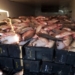 Un camión salió de Gaboto con 11 mil kilos de pescado y le decomisaron la carga