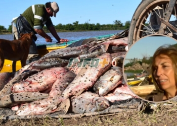 “Acompañemos al pescador”: Sandra Aguirre pidió al gobierno que Gaboto sea escuchado