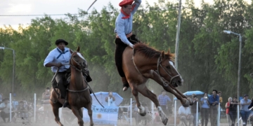 Presentación judicial y suspensión de una jineteada: «Genera daños en el caballo»