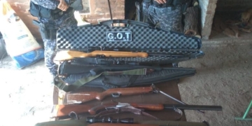 Secuestraron 6 armas de fuego y municiones en zona rural de la región: un aprehendido