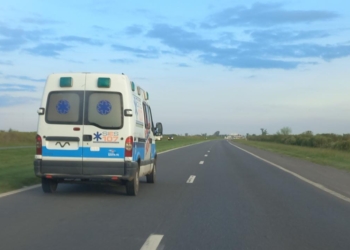 Accidente en Gaboto: un vecino chocó a un perro y sufrió traumatismos