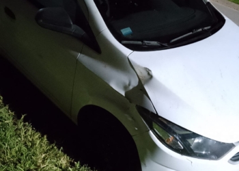 San Genaro: esquivó una moto sin luz en Ruta 65 y terminó entre los pastizales
