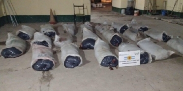 Decomisaron más de mil kilos de carne en la autopista: la llevaban sin refrigeración