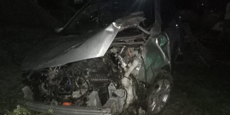 Se durmió mientras manejaba por Ruta 11 y terminó en el patio de una casa